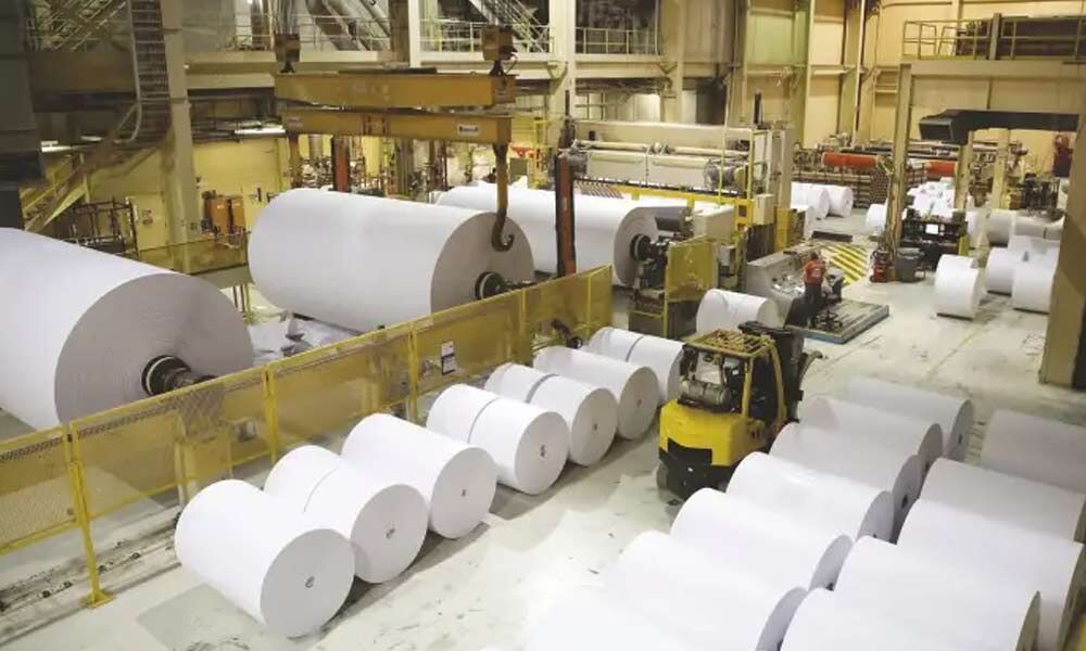 A Guide To Asia Pulp And Paper